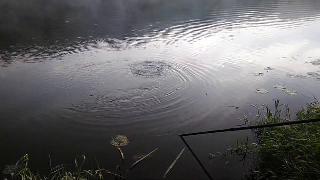 Лещ.Рыбалка за Чекалиным,с 25 08 18 по 26 08 18 первый крупняк подошел смотреть онлайн
