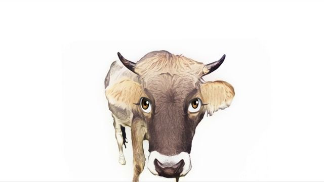 How A Cow Moo / Sound Effect  / Animation