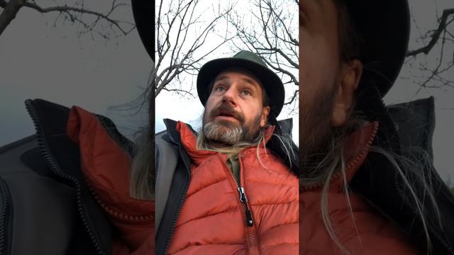 Consciousness: The Universal Substrate смотреть онлайн