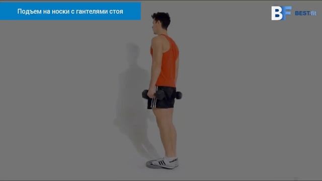 Подъем на носки с гантелями стоя смотреть онлайн