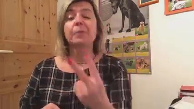 оправдание 2 часть и в точку 👌🍷 DEAF ГЛУХИХ Политики смотреть онлайн