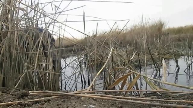 ловля щуки руками смотреть онлайн