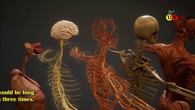 10 shocking fact about human body । sehat talk with isha bhatia смотреть онлайн