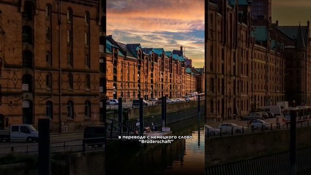 Откуда произошел обычай «на брудершафт» смотреть онлайн