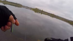 ТОП 5 силиконовых приманок на щуку от Артема Некряча. Ловля на джиг