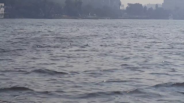 Cairo - nilosi смотреть онлайн