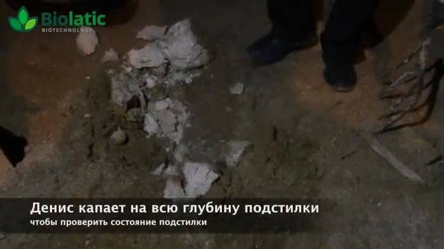 Результат от бактерий для подстилки Biolatic смотреть онлайн