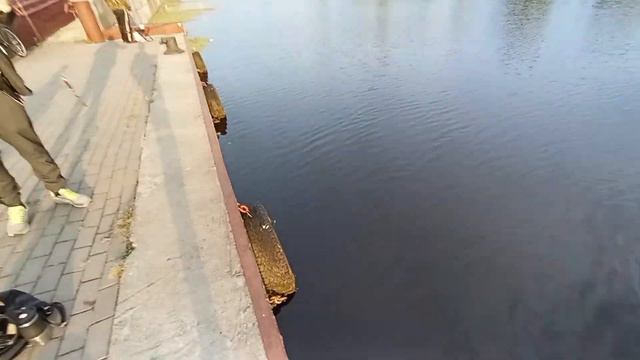 Замена лески на удочке смотреть онлайн