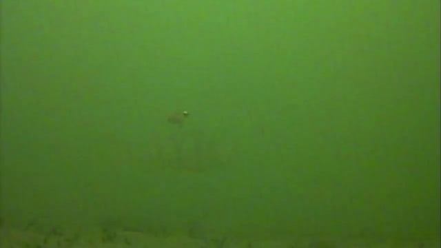 Щука на жерлицы (пруд в пос.Таловка змеиногорский район)