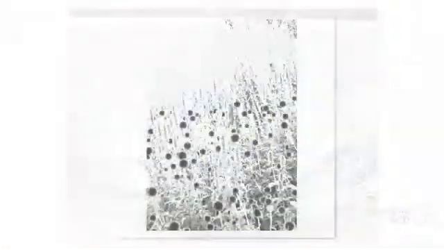Perovskia - garden plants смотреть онлайн