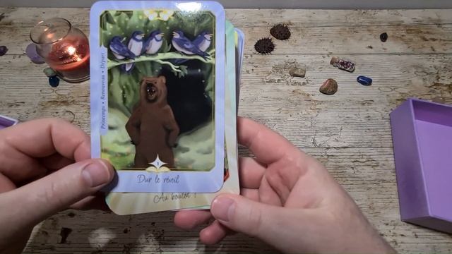 L'oracle de Kalypso + Tirage à 1 carte смотреть онлайн