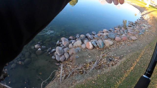 Pond Fishing For COLD WATER Bass! смотреть онлайн