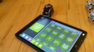 Играем с роботом Cosmo