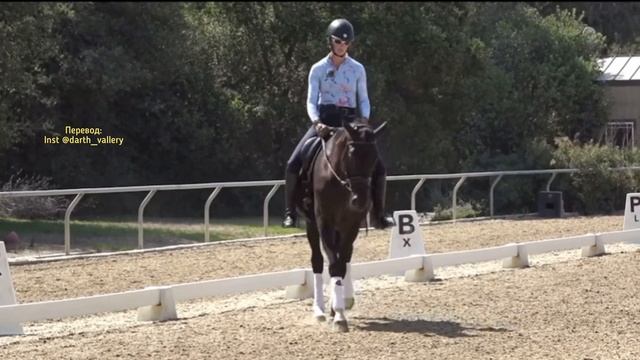 Выездка для начинающих смотреть онлайн