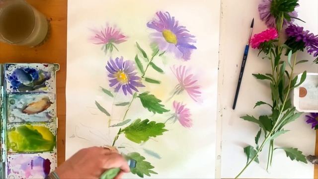 Осенние цветы, рисуем астры. Процесс рисования акварелью смотреть онлайн