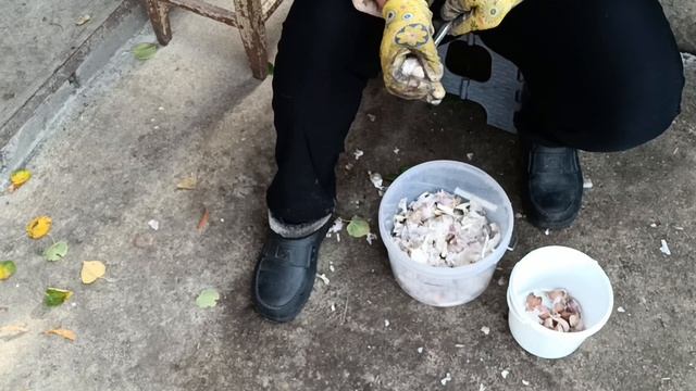 12 октября 2023 г. Работем в огороде. Ура! Я посадила чеснок. смотреть онлайн