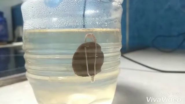 Как чистить монеты смотреть онлайн