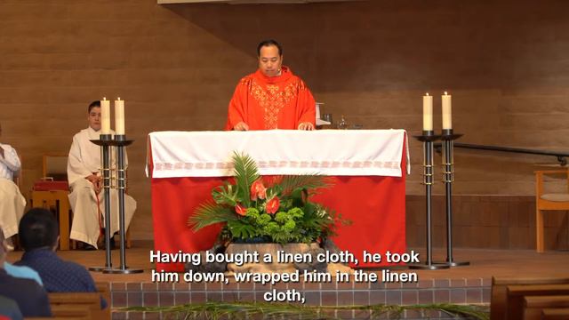 Palm Sunday of the Lord’s Passion | Solano Catholic | March 24, 2024 смотреть онлайн