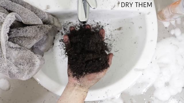 How To Properly Wash Your Hands смотреть онлайн