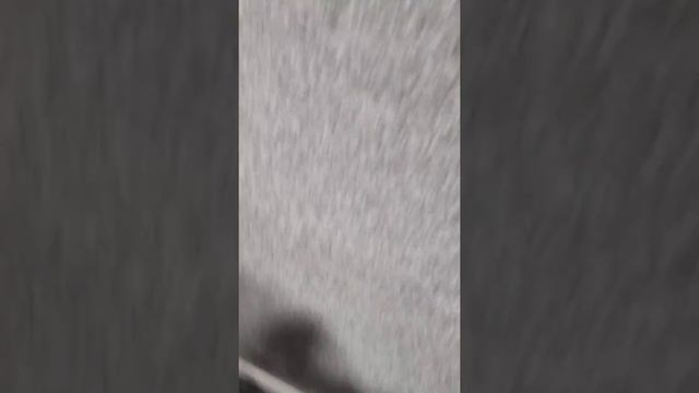 Фетр на стене