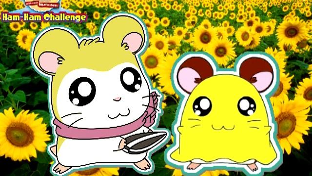 Hi! Hamtaro Ham-Ham Challenge Music: Pashmina & Penelope's Secret Shortcut! смотреть онлайн
