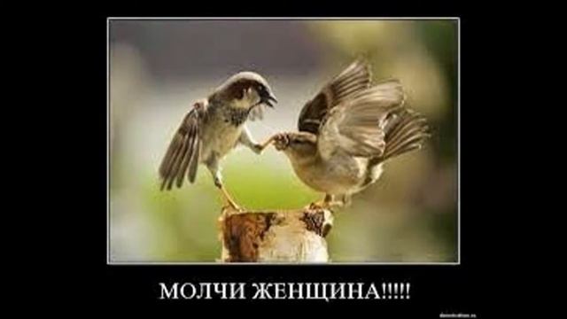 МОЛЧИ ЖЕНЩИНА ребёнок говорит/ ХА ну это же СМЕШНО смотреть онлайн