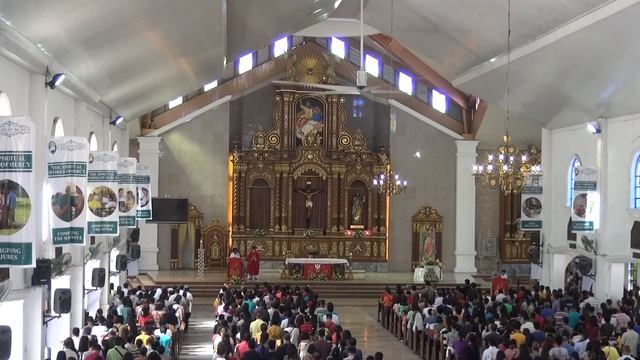 2017-05-15-MASS-Immaculate conception cathedral urdaneta city, pangasinan смотреть онлайн