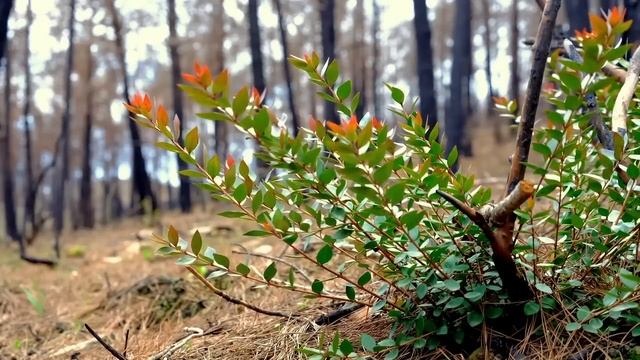 Всю неделю Утром говорите Эти Слова, жизнь наполниться счастьем и благополучием смотреть онлайн