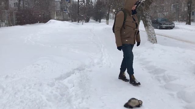 Зарываемся ! Фретка Но'ра | Домашний Хорек смотреть онлайн