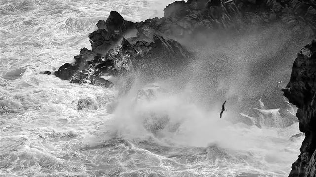 Made For Us - Mackintosh Braun смотреть онлайн