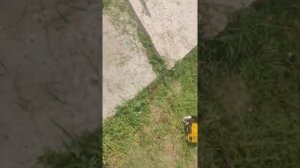 "вечная леска для тримера" из велосипедной спицы