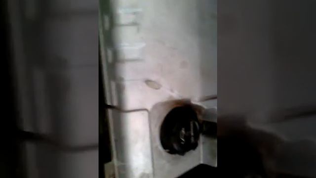 Pajero Io for sale Tbilisi смотреть онлайн