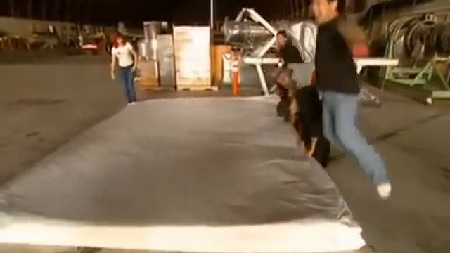 MythBusters  Folding  Paper Seven Plus Times