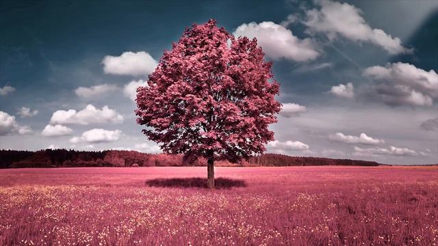 Yдивительная релакс музыка для комфорта ♫ Релакс музыка слушать смотреть онлайн