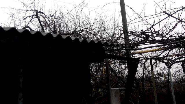 И за чем мы вас только спасали,бывшие земляки? смотреть онлайн