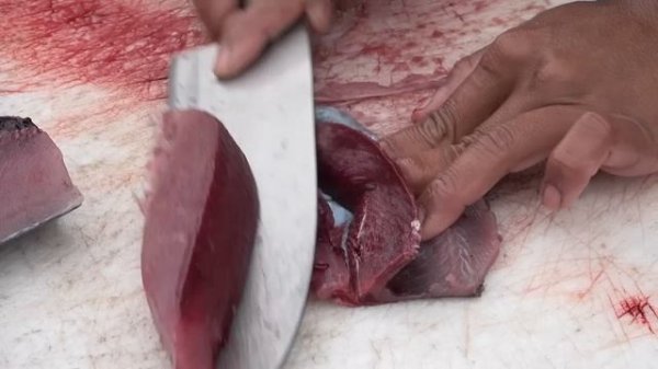 Fish cutting skills - Tuna,Red cornetfish,Ray Fish