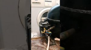 Звуки сгоревшего компрессора холодильника.