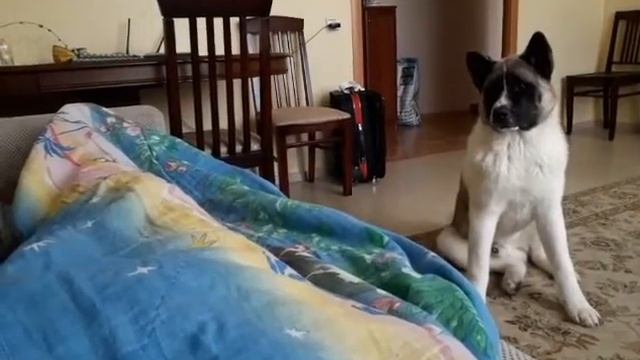 Брат родной от мамы другой?? смотреть онлайн