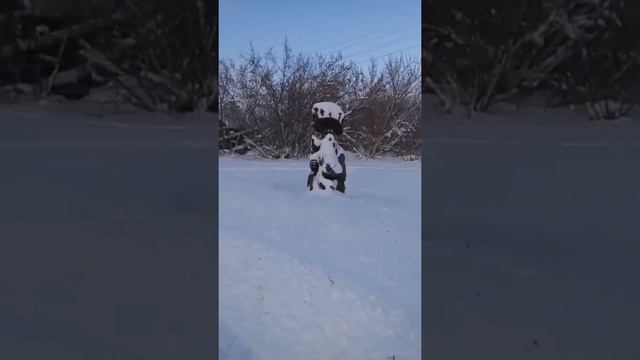 НИЖНИЙ ЛАНДЕХ смотреть онлайн