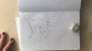 Как нарисовать кота воителя? Туториал! не анатомия . Рисунки коты воители