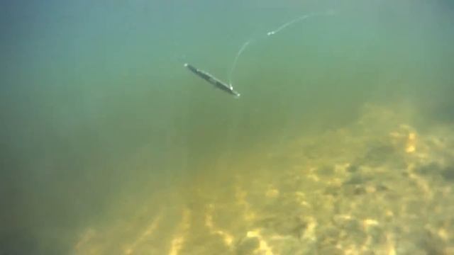 Новинка 2017г Strike Pro Montero 110SP - Подводные видео съёмки №2