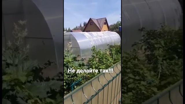 Снимайте транспортировочную пленку с спк #уральскаяусадьба #теплицыизполикарбоната смотреть онлайн