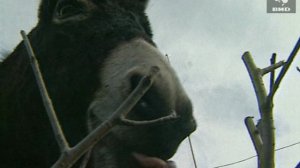 Взгляд 17.10.1997