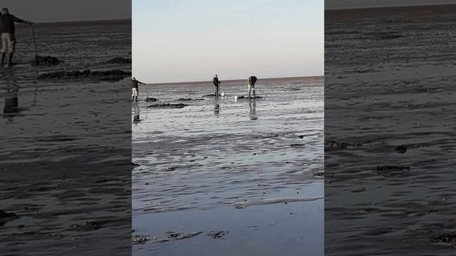 1 er voyage avec mon vieux camping car de 1984 pilote Peugeot j5 essence смотреть онлайн