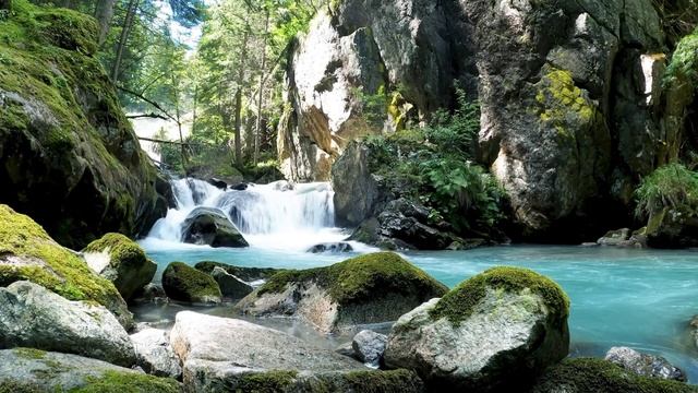 Лесная Река - Природа смотреть онлайн