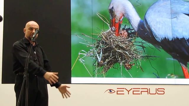 Георгий Начаркин, Белый аист, черный аист. часть-1 смотреть онлайн