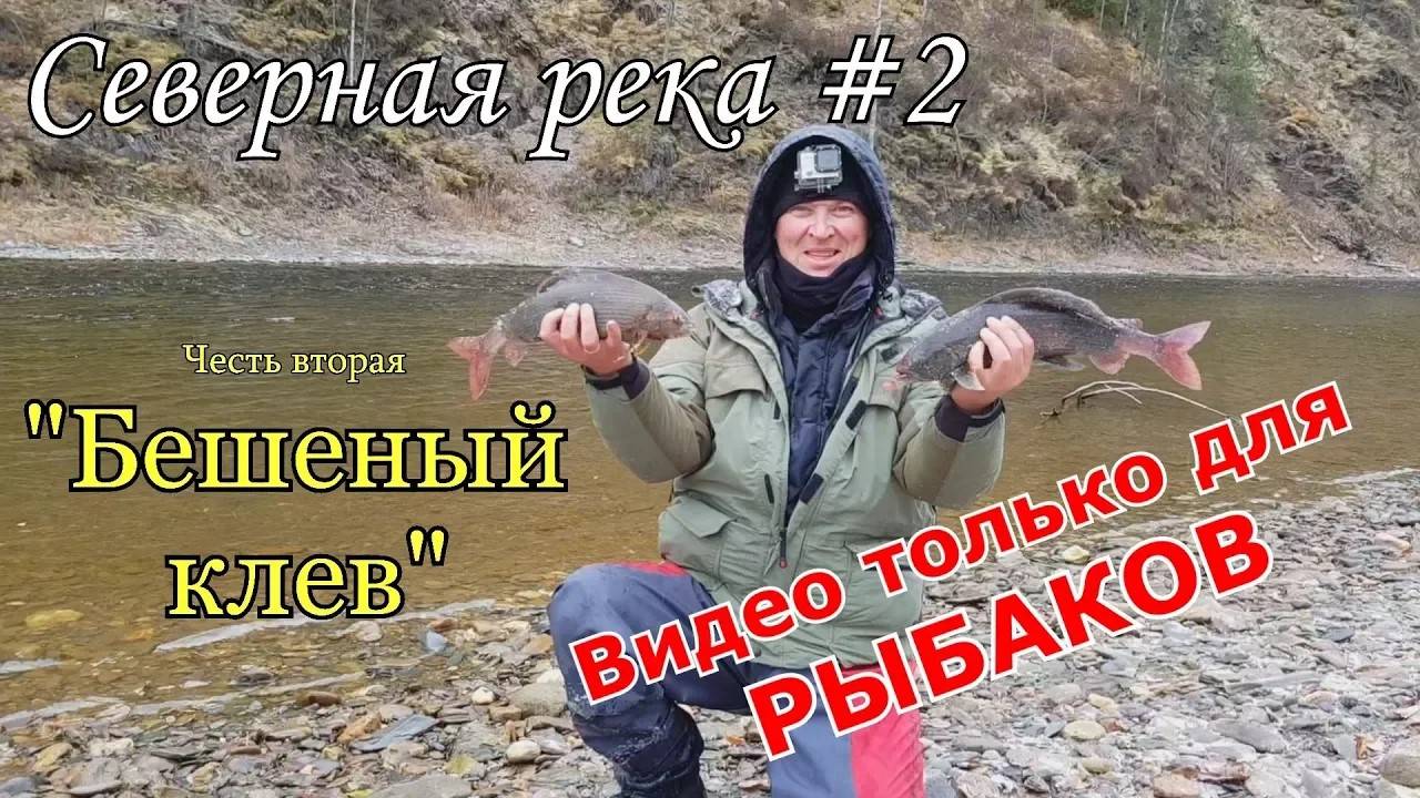 Бешеный клев крупного хариуса/Завистливым не смотреть/Труднодоступная северная река #2 смотреть онлайн
