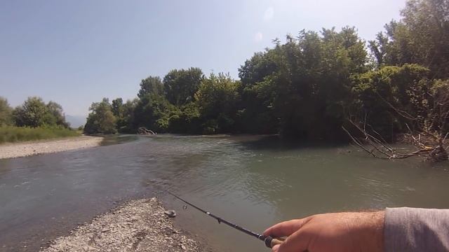 ავანტიურა ალაზანზე. შამაია სპინინგით . Шемая на спиннинг . смотреть онлайн