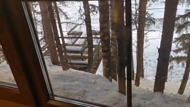 vlog: 8 марта! День рождение! 09.03.2021-29.03.2021 смотреть онлайн