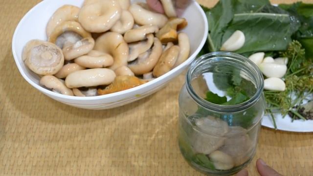 Творческий Путь к Совершенству